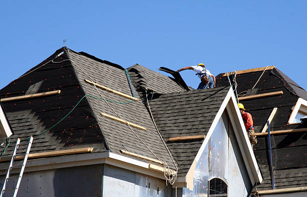 Best Roof Gutter Cleaning  in Fort Hood, TX